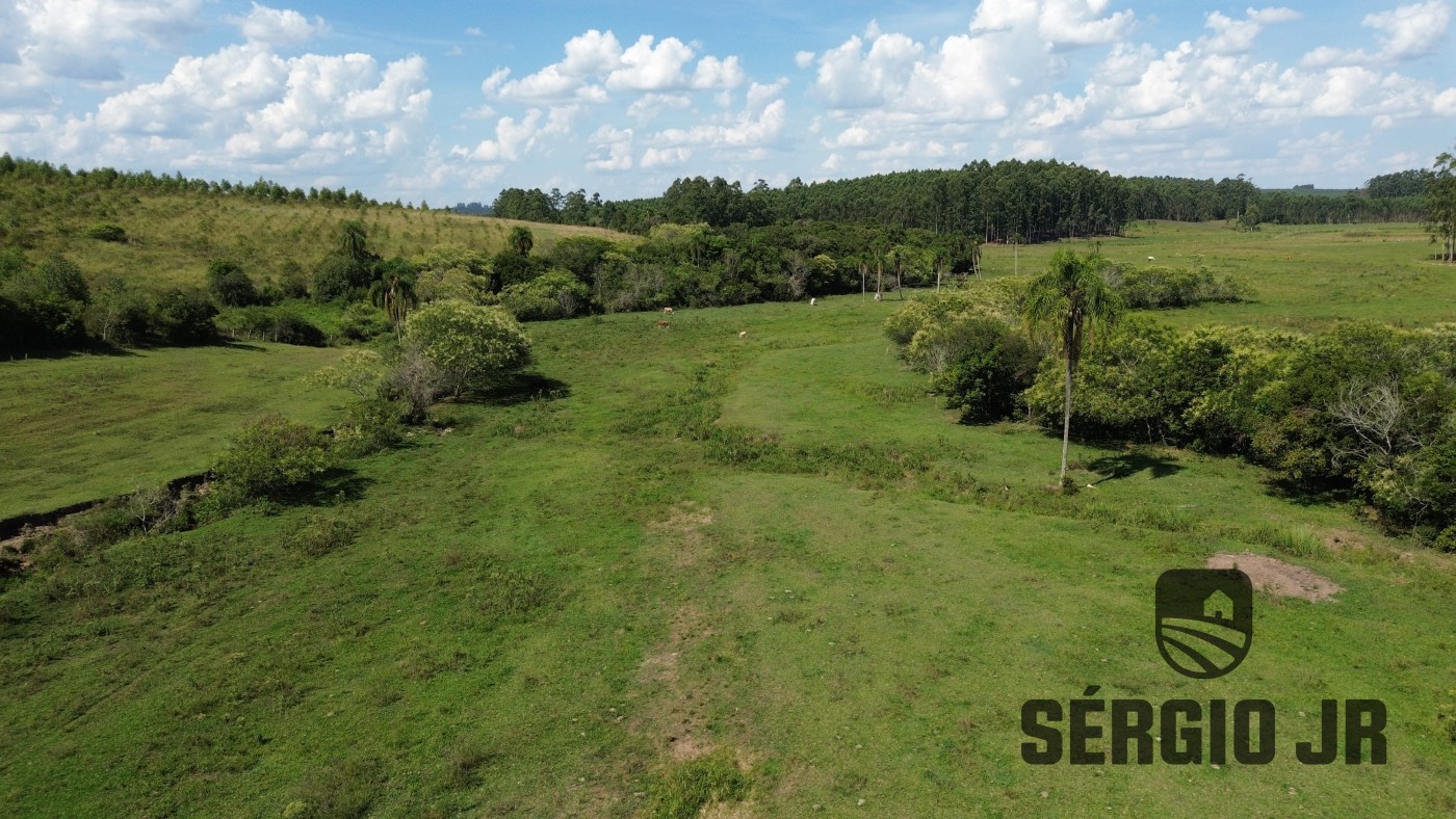 Loteamento e Condomínio à venda, 240000m² - Foto 8