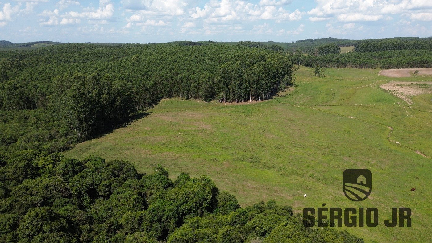 Loteamento e Condomínio à venda, 240000m² - Foto 10
