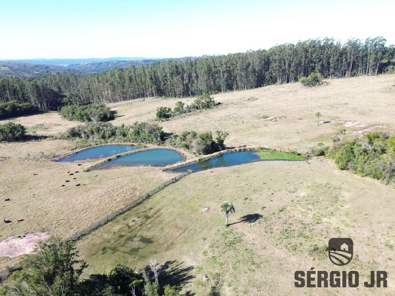 Fazenda, 107 hectares - Foto 3