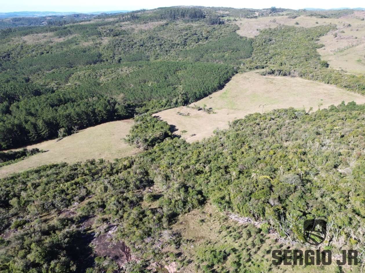 Fazenda, 107 hectares - Foto 5