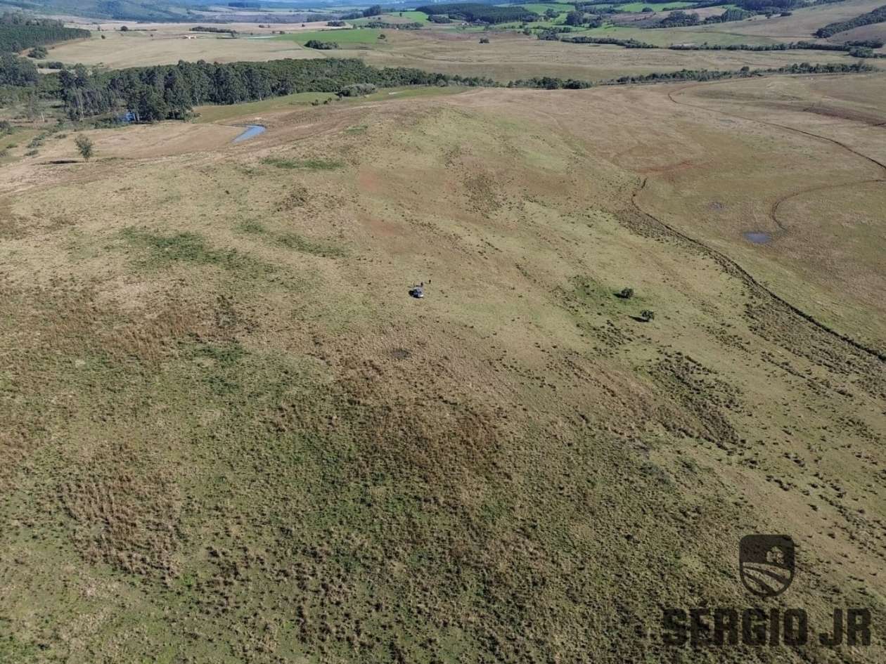Fazenda-Sítio-Chácara, 686 hectares - Foto 4