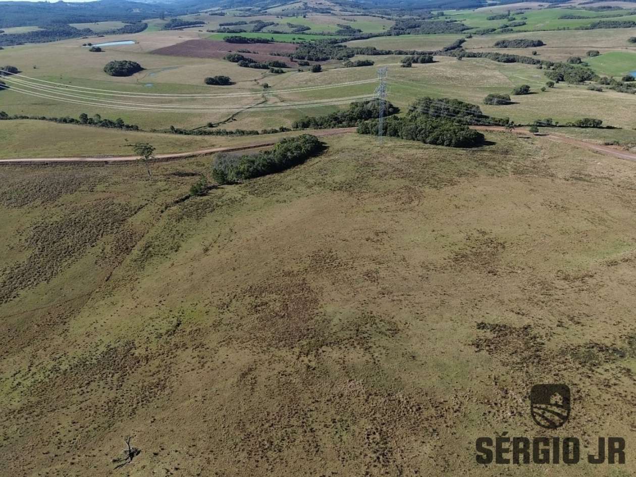 Fazenda-Sítio-Chácara, 686 hectares - Foto 8