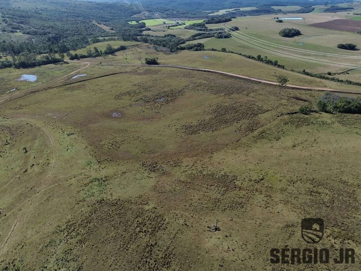 Fazenda-Sítio-Chácara, 686 hectares - Foto 10