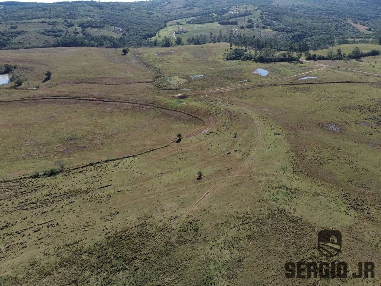 Fazenda-Sítio-Chácara, 686 hectares - Foto 11