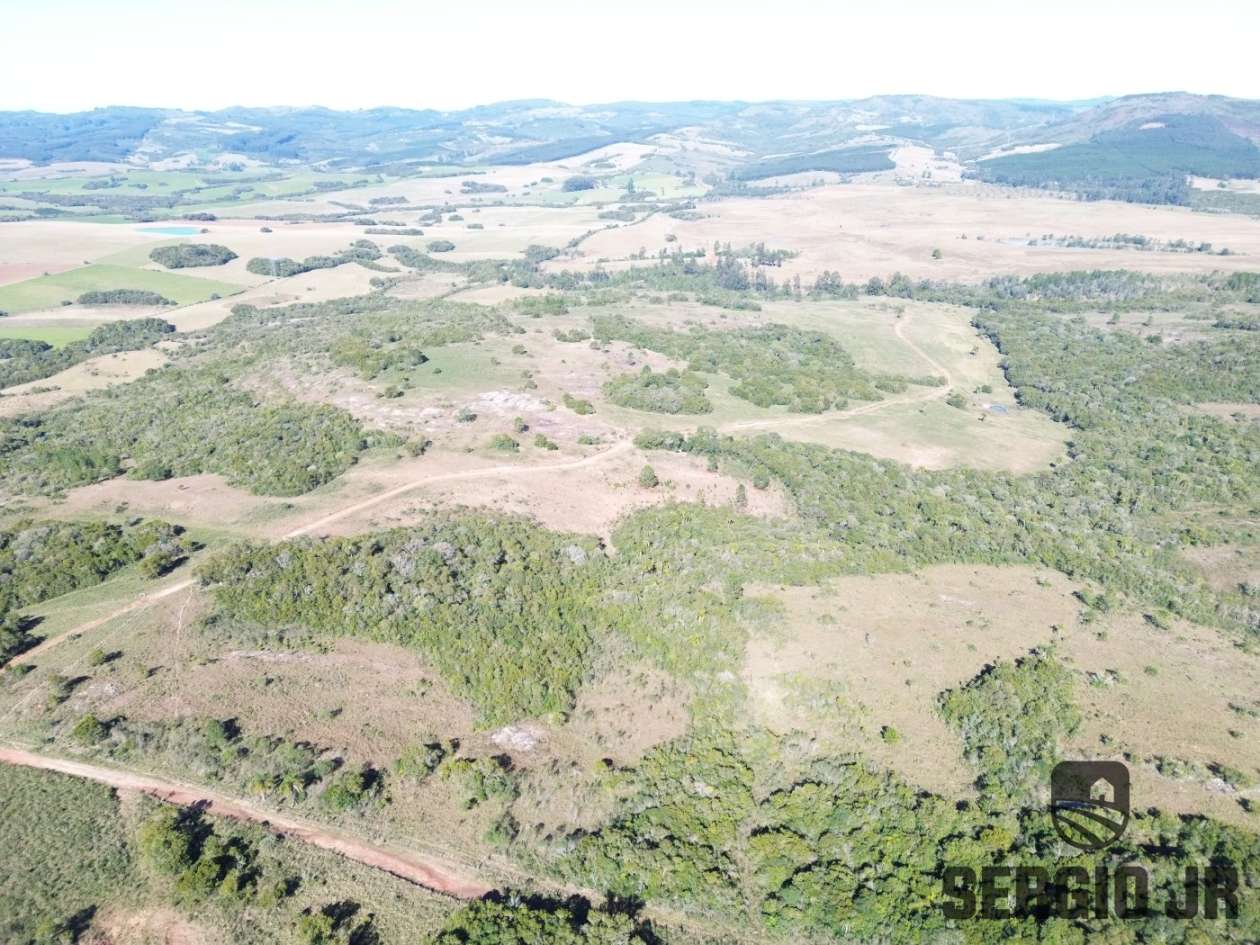 Fazenda-Sítio-Chácara, 686 hectares - Foto 16