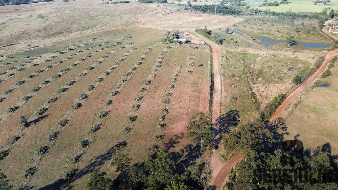 Fazenda-Sítio-Chácara, 686 hectares - Foto 21