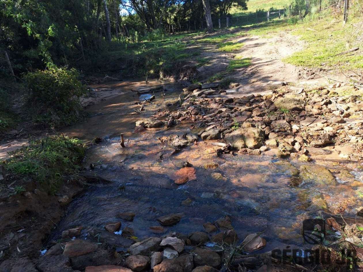 Fazenda-Sítio-Chácara, 686 hectares - Foto 24