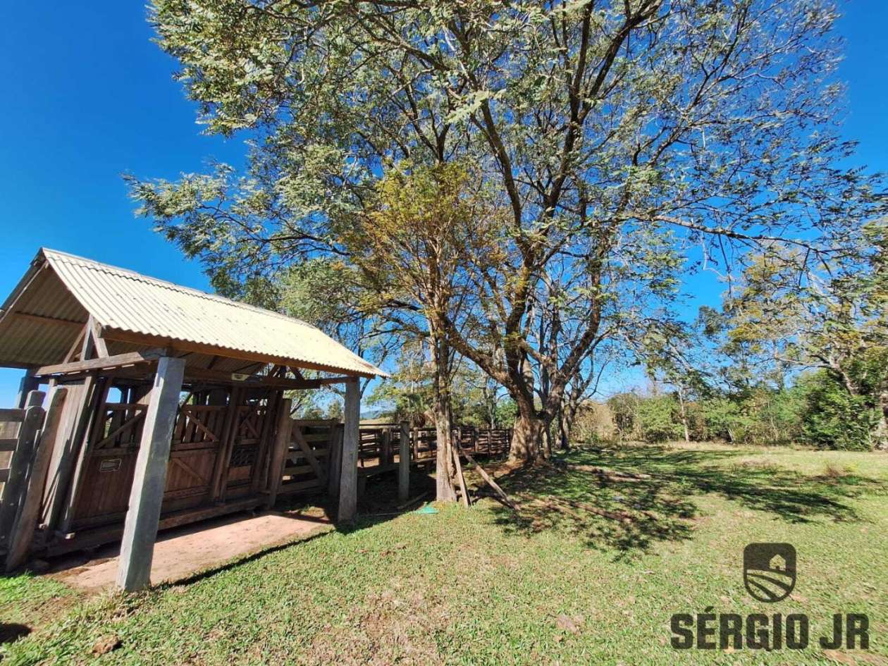 Fazenda-Sítio-Chácara, 686 hectares - Foto 26