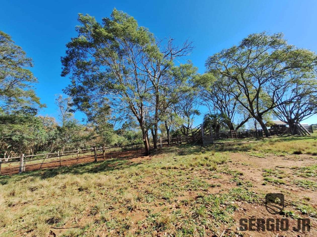 Fazenda-Sítio-Chácara, 686 hectares - Foto 29