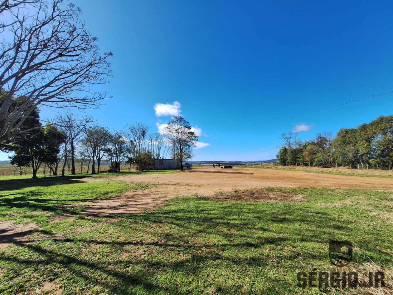 Fazenda-Sítio-Chácara, 686 hectares - Foto 30