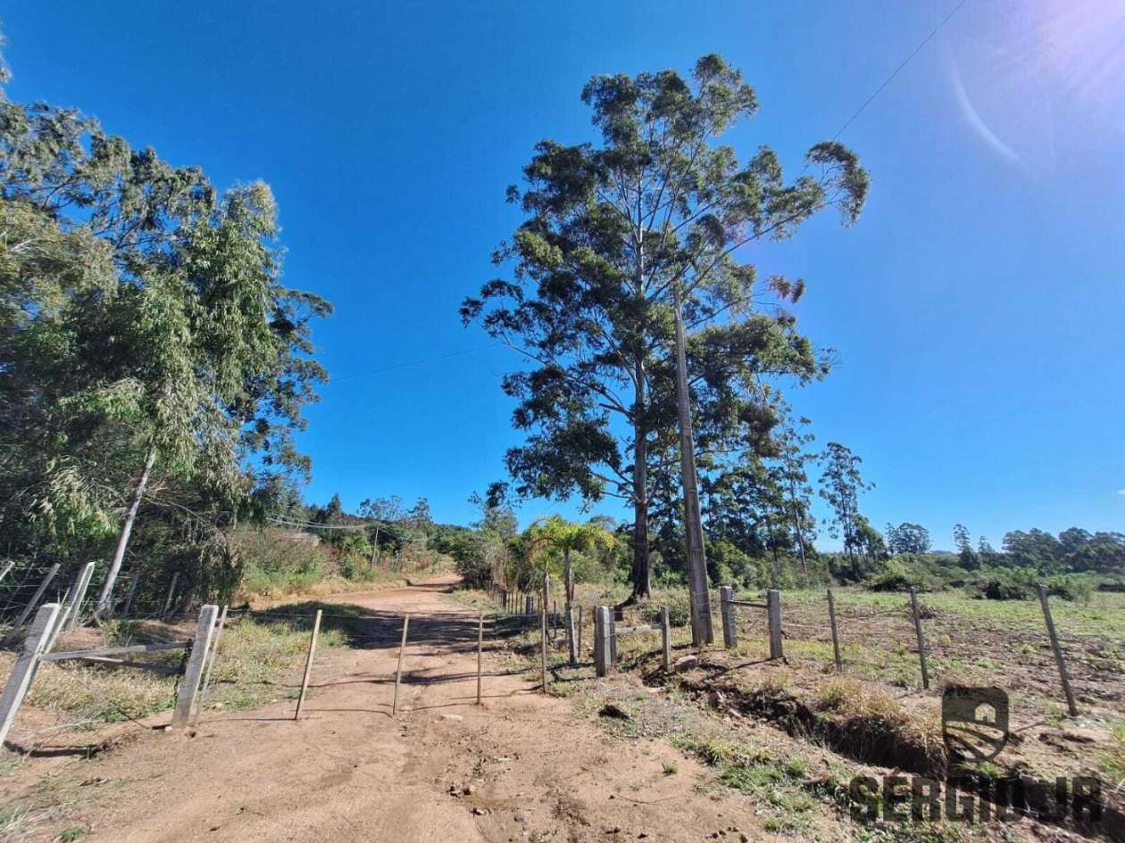 Fazenda-Sítio-Chácara, 686 hectares - Foto 35
