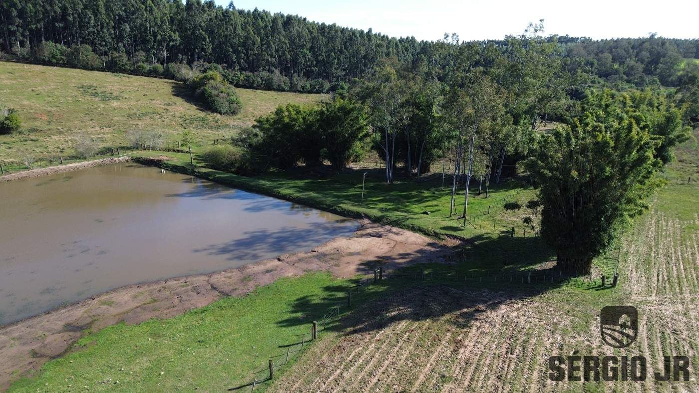 Sítio, 4 quartos, 3 hectares - Foto 7