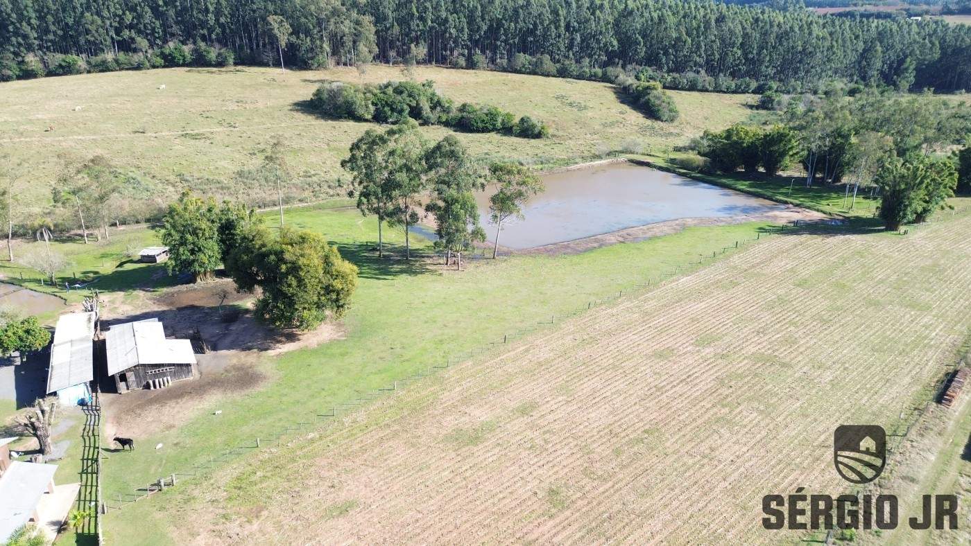 Sítio, 4 quartos, 3 hectares - Foto 9