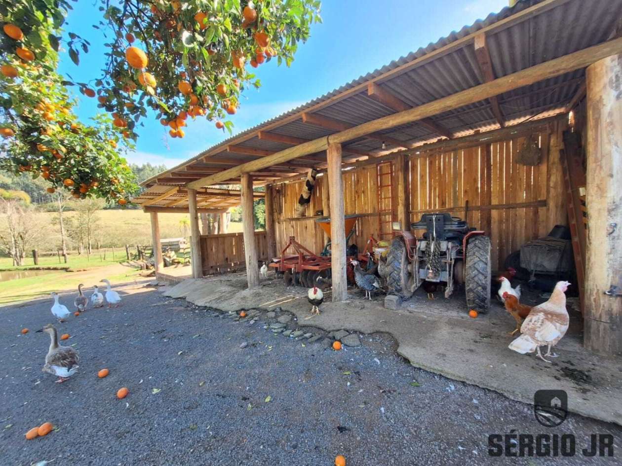 Sítio, 4 quartos, 3 hectares - Foto 16