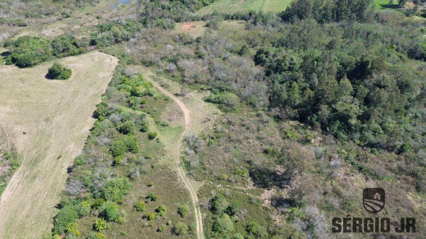 Terreno, 4 hectares - Foto 4