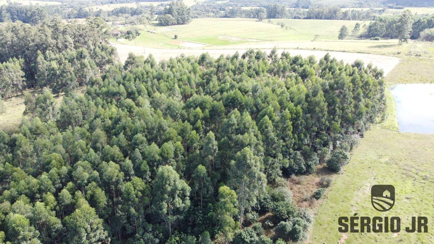 Loteamento e Condomínio, 2 hectares - Foto 4