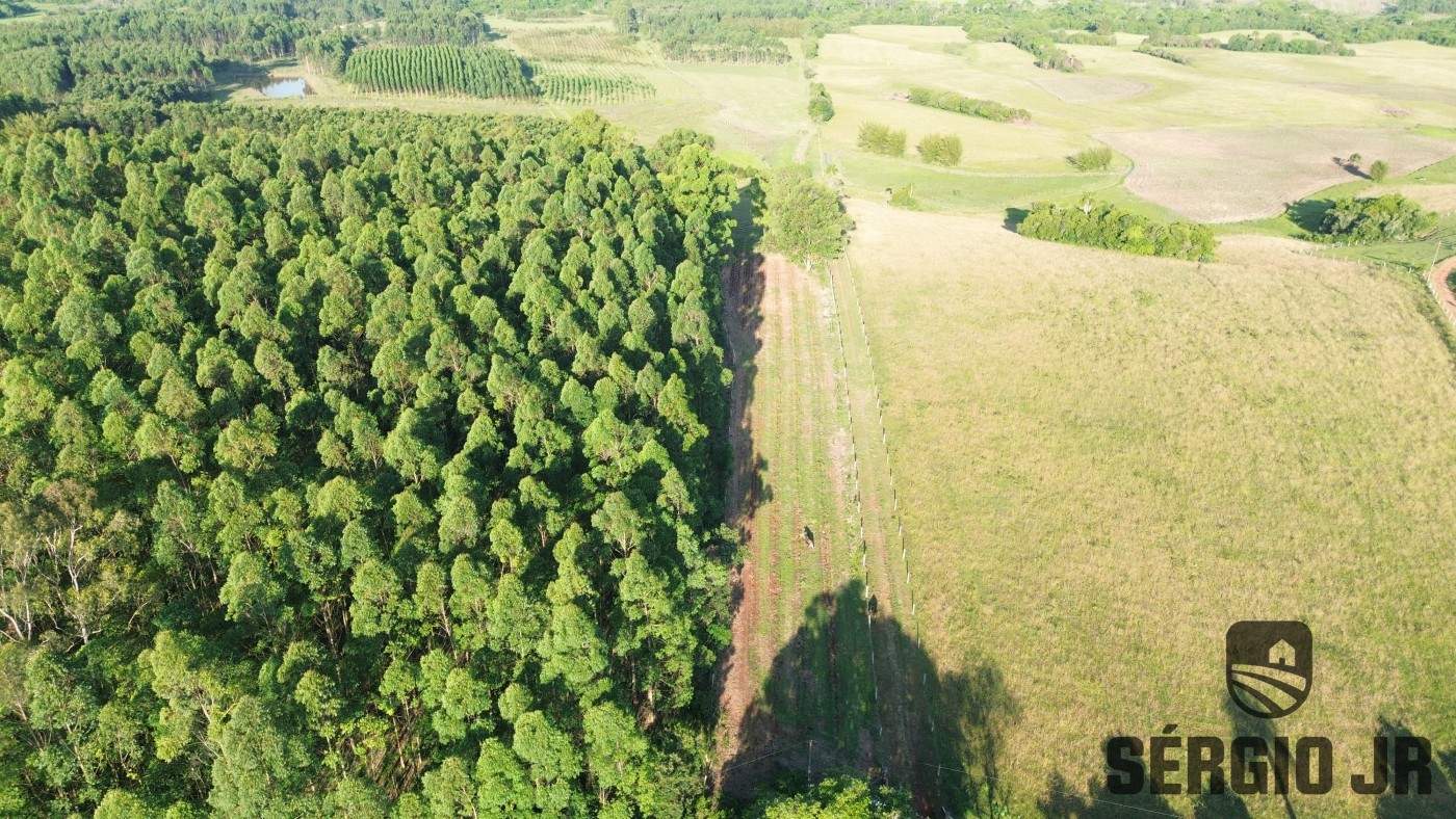 Loteamento e Condomínio, 11 hectares - Foto 3