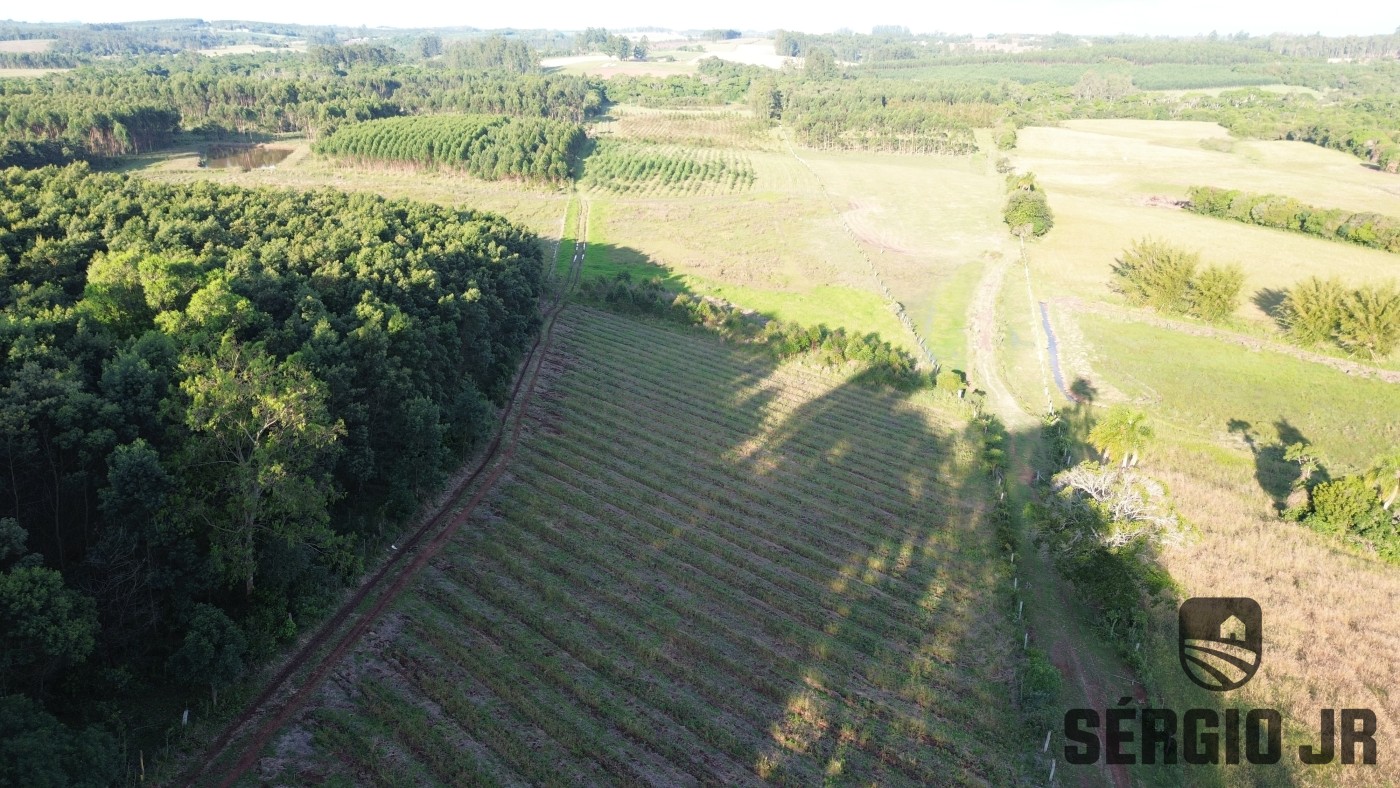 Loteamento e Condomínio, 11 hectares - Foto 5