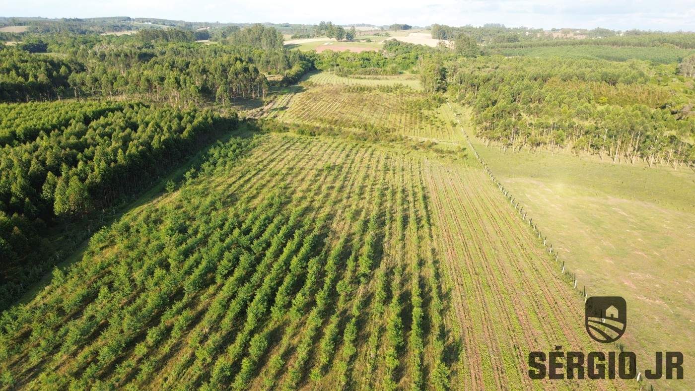 Loteamento e Condomínio, 11 hectares - Foto 9