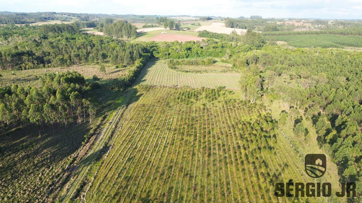 Loteamento e Condomínio, 11 hectares - Foto 10