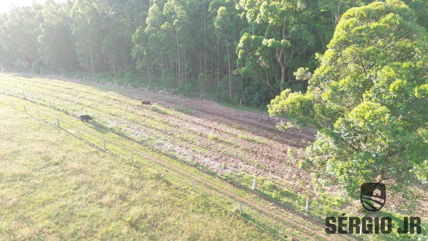 Loteamento e Condomínio, 11 hectares - Foto 13