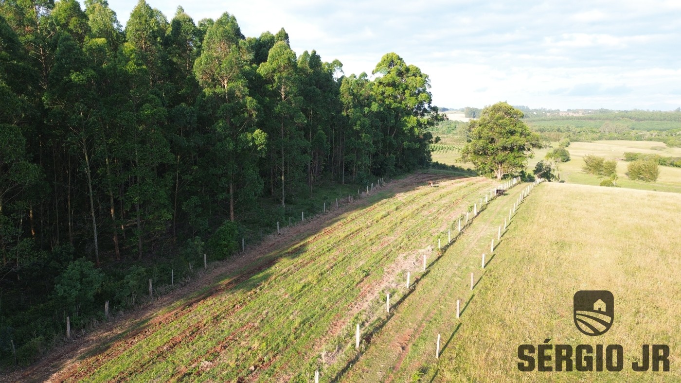 Loteamento e Condomínio, 11 hectares - Foto 15