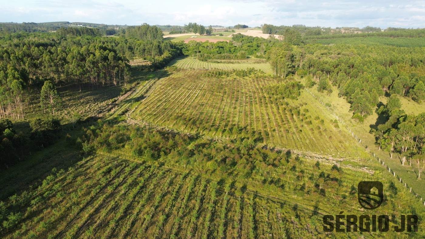 Loteamento e Condomínio, 11 hectares - Foto 18