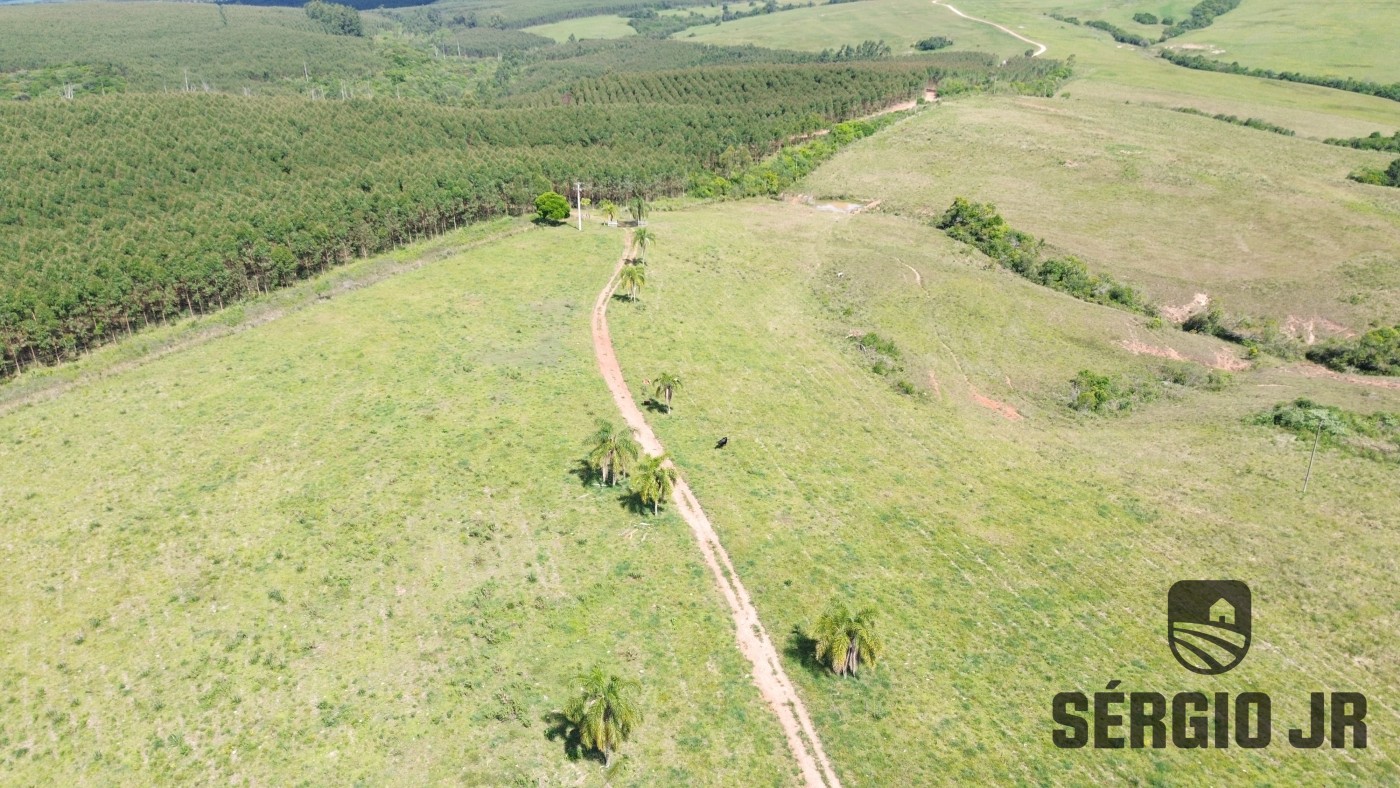 Fazenda, 26 hectares - Foto 2