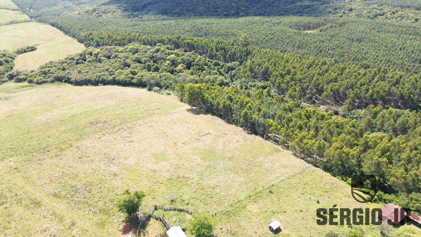 Fazenda, 26 hectares - Foto 5