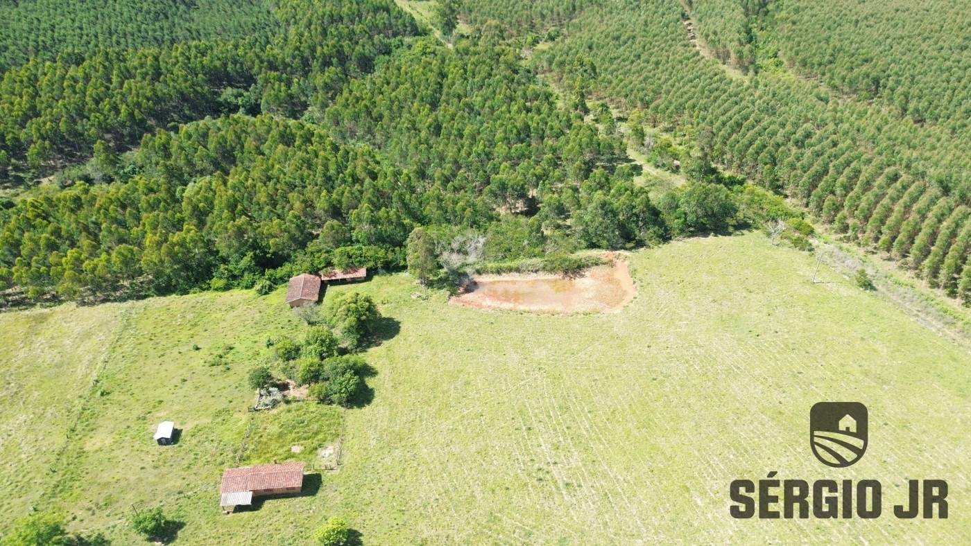 Fazenda, 26 hectares - Foto 6