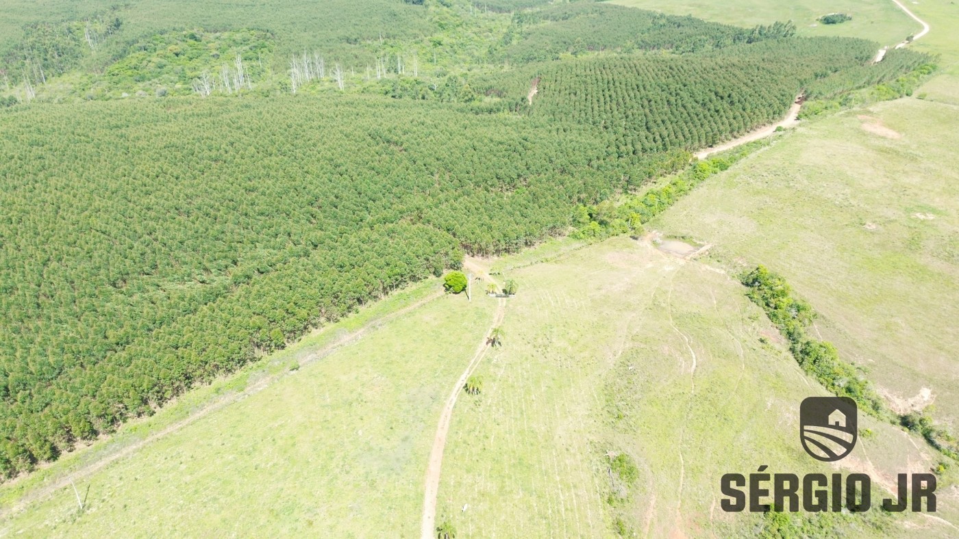 Fazenda, 26 hectares - Foto 7