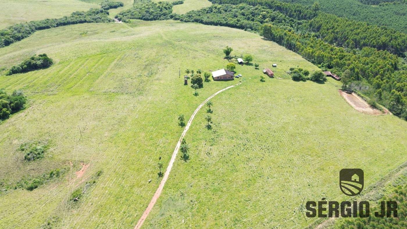 Fazenda, 26 hectares - Foto 8