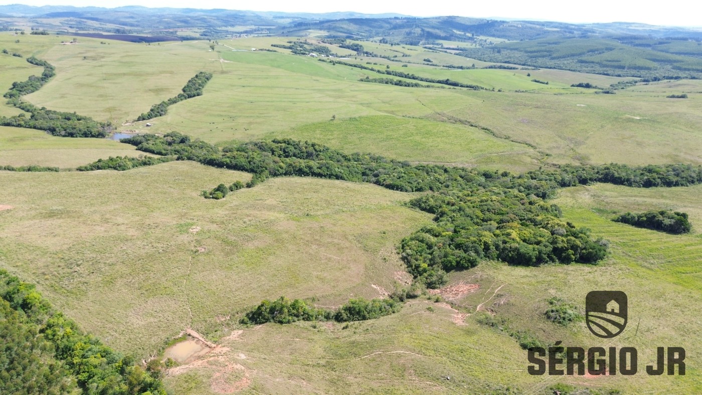 Fazenda, 26 hectares - Foto 9