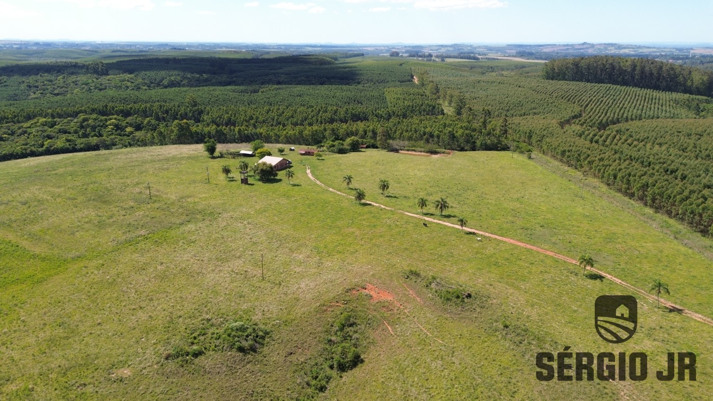 Fazenda, 26 hectares - Foto 11