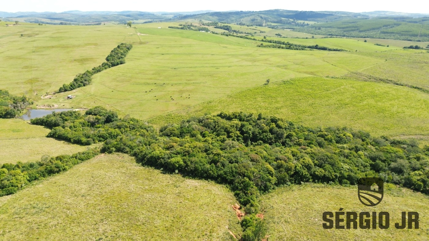 Fazenda, 26 hectares - Foto 12