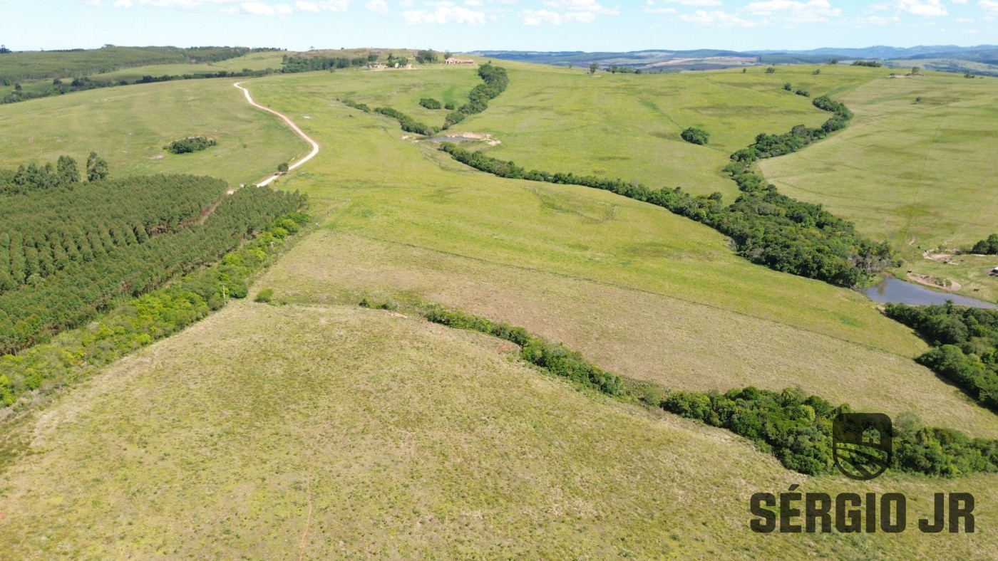 Fazenda, 26 hectares - Foto 13