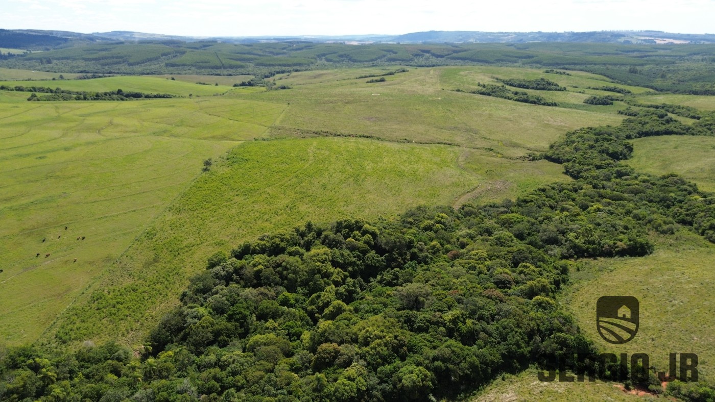 Fazenda, 26 hectares - Foto 14