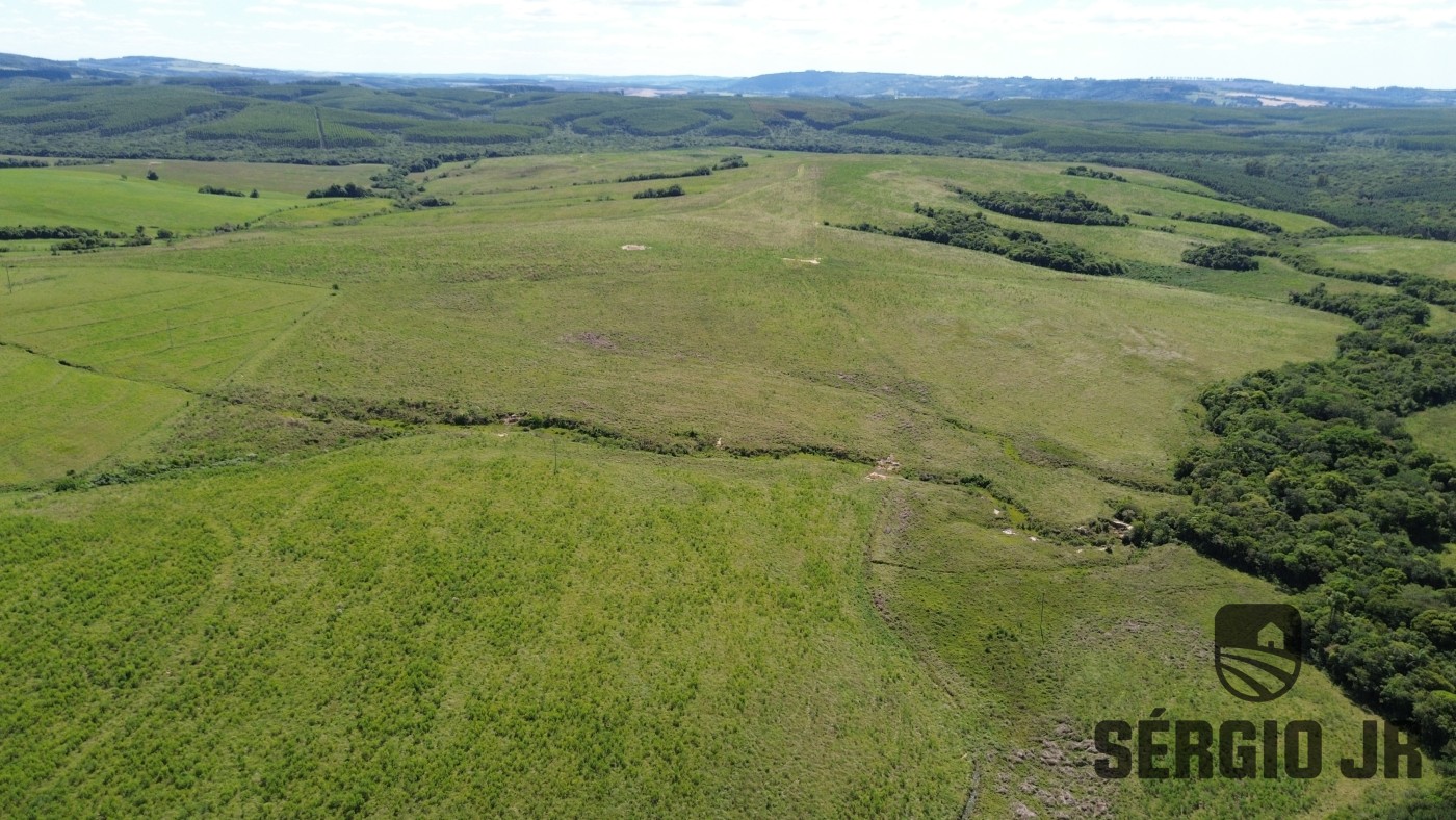 Fazenda, 26 hectares - Foto 15