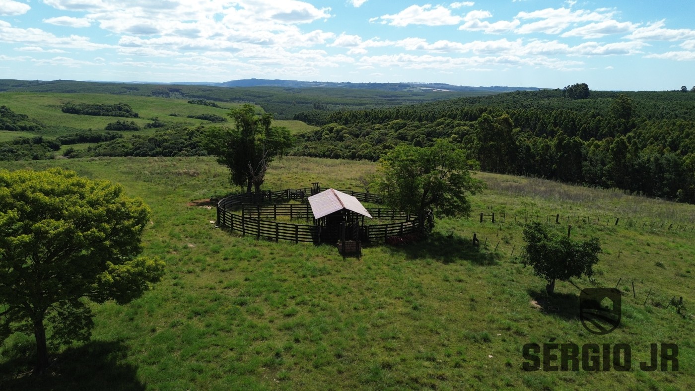 Fazenda, 26 hectares - Foto 19