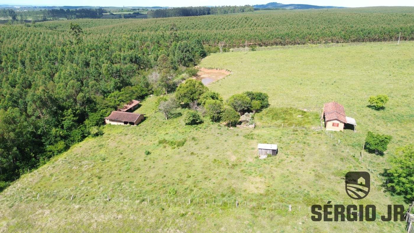 Fazenda, 26 hectares - Foto 22