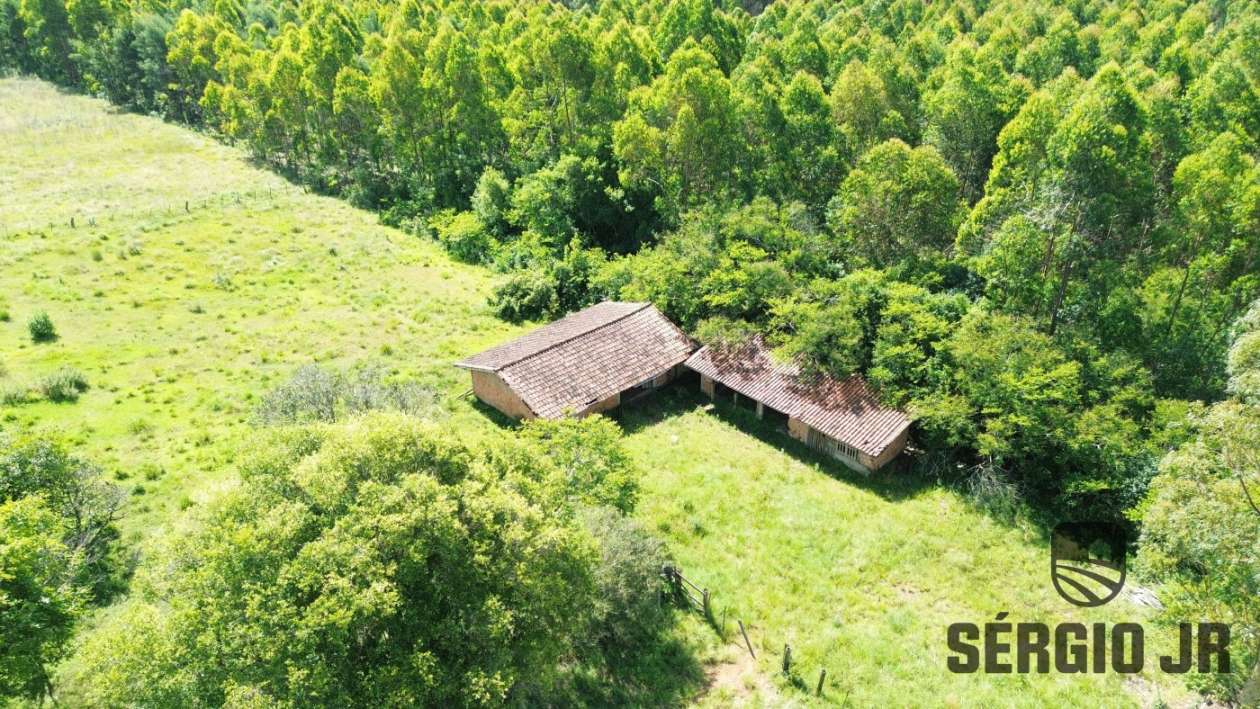 Fazenda, 26 hectares - Foto 23
