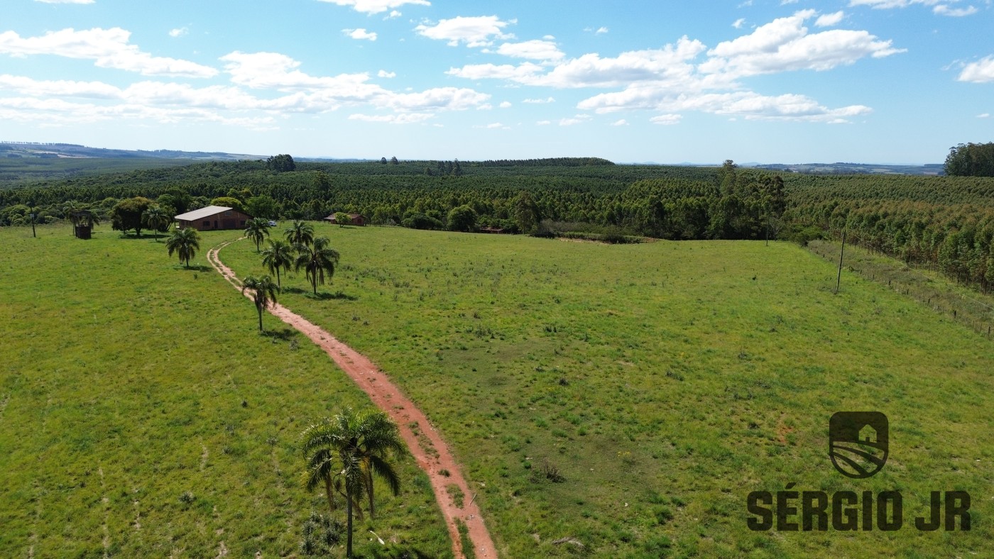 Fazenda, 26 hectares - Foto 24