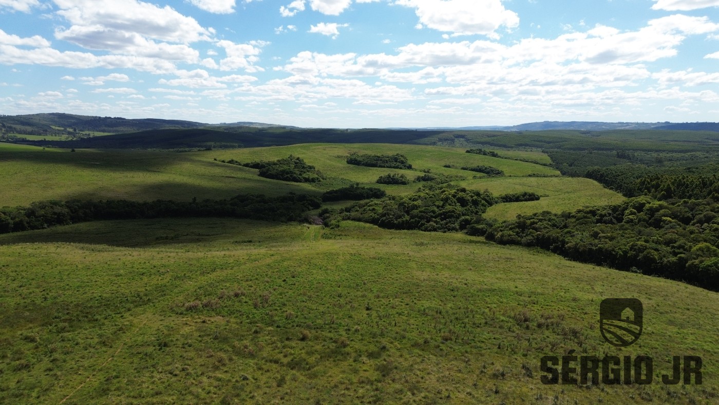 Fazenda, 26 hectares - Foto 26