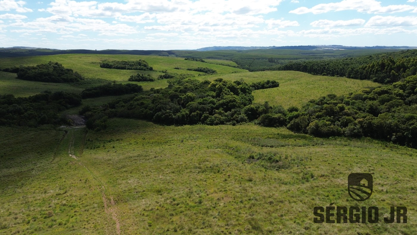 Fazenda, 26 hectares - Foto 27
