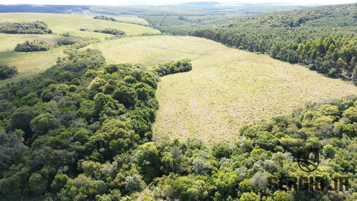 Fazenda, 26 hectares - Foto 28