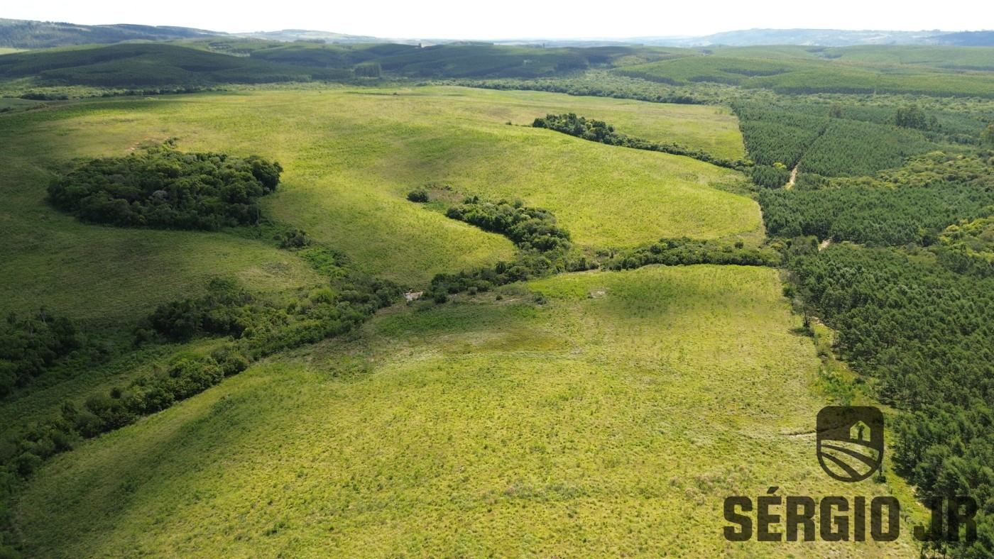 Fazenda, 26 hectares - Foto 29