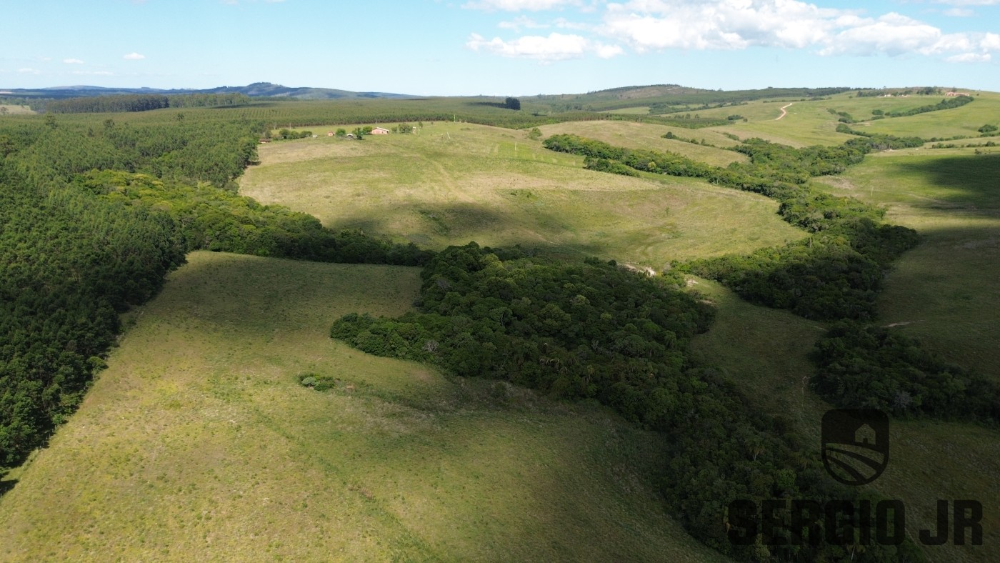 Fazenda, 26 hectares - Foto 30