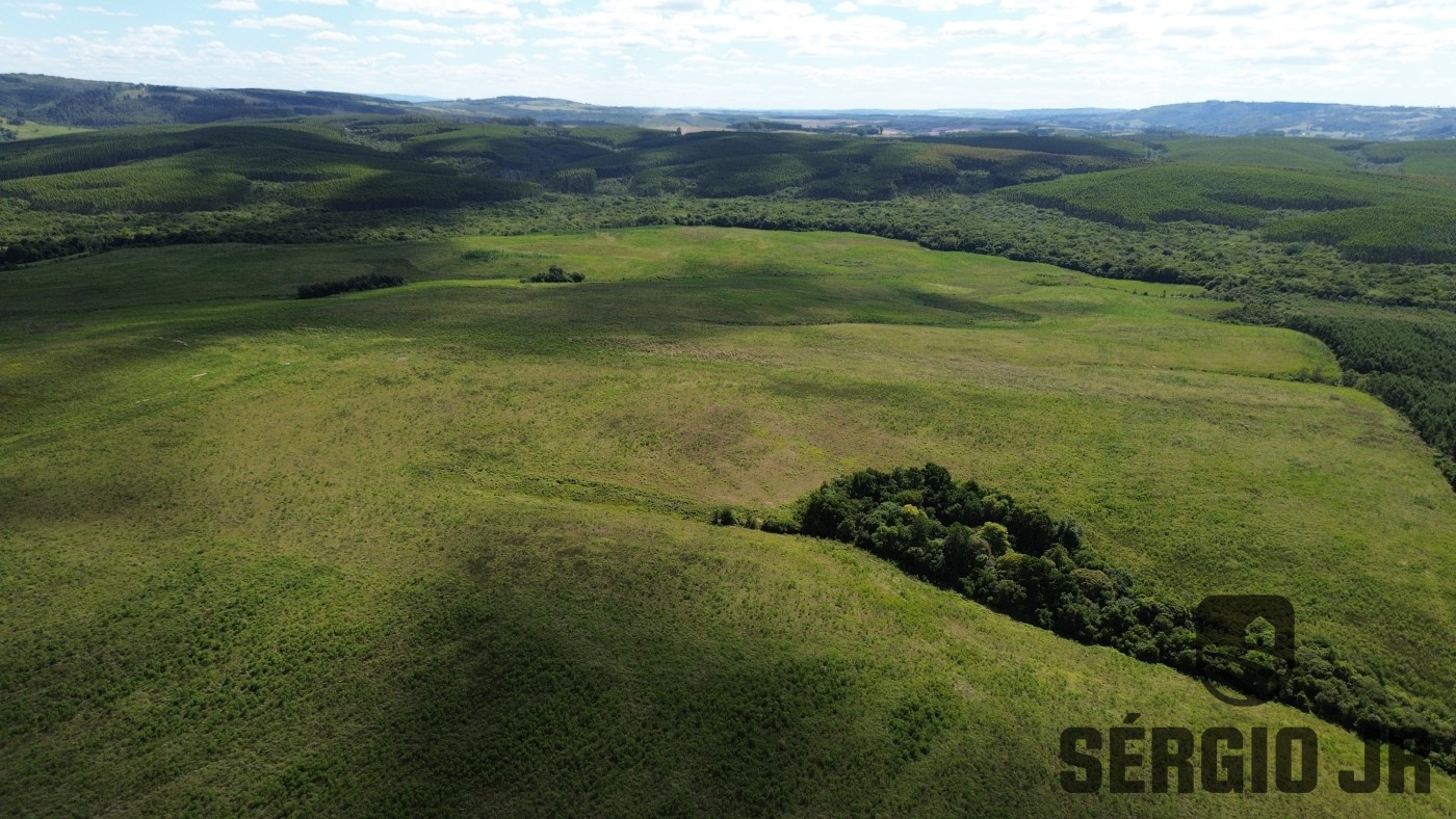 Fazenda, 26 hectares - Foto 31