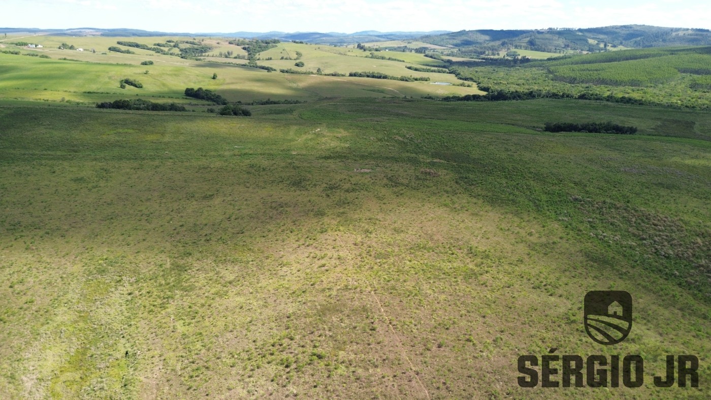 Fazenda, 26 hectares - Foto 32