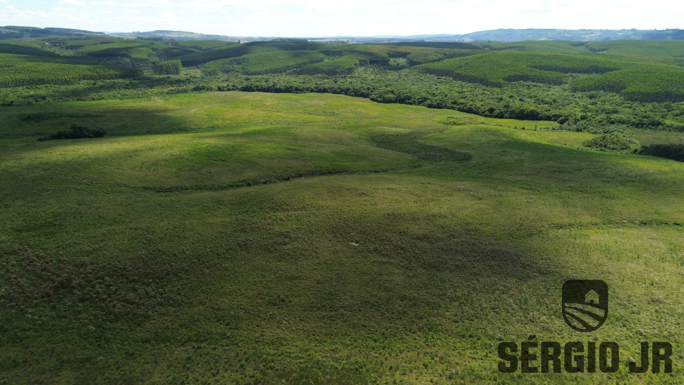 Fazenda, 26 hectares - Foto 33